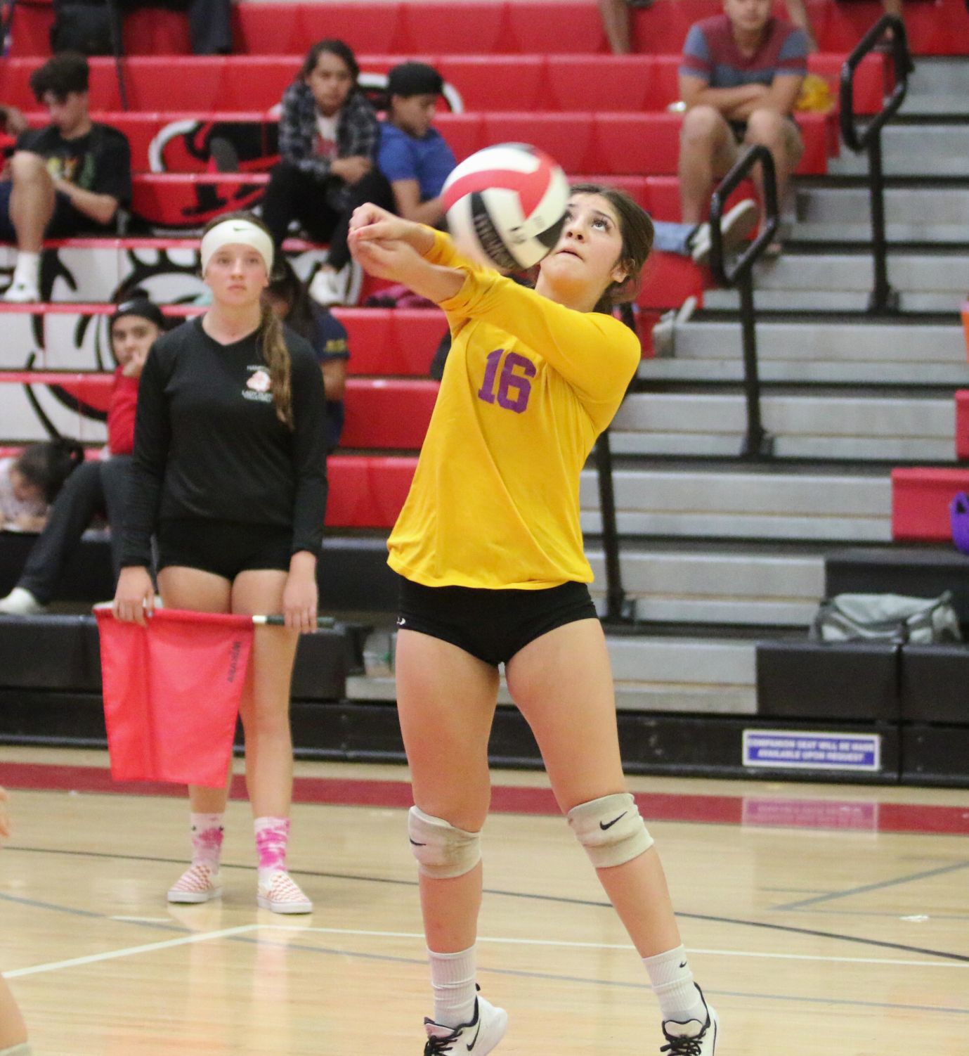 Bullpups claim victory over Tigers in thrilling season finale